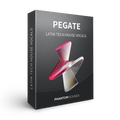 Pegate - Latin Tech House Vocals