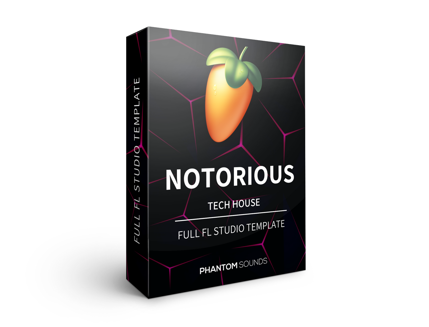 Notorious - Tech House FL Studio Template